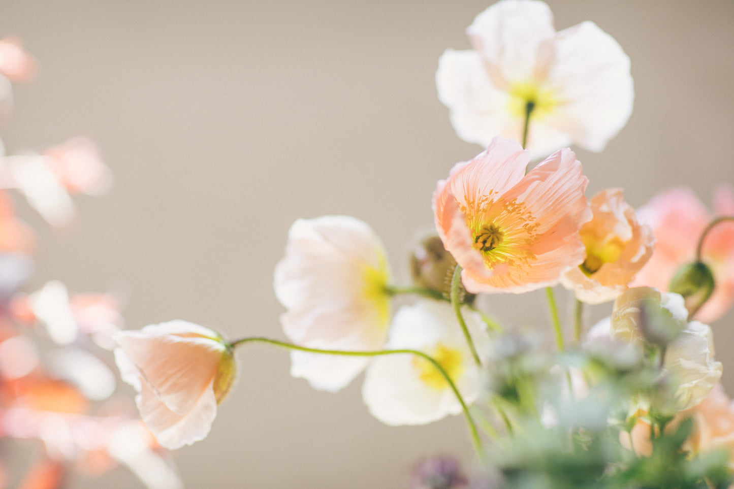 Såkurs | Torsdag 5. Mars | 18:00