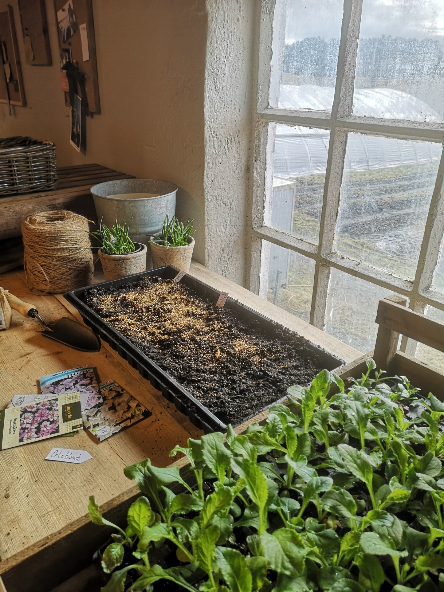 Såkurs | Torsdag 5. Mars | 18:00